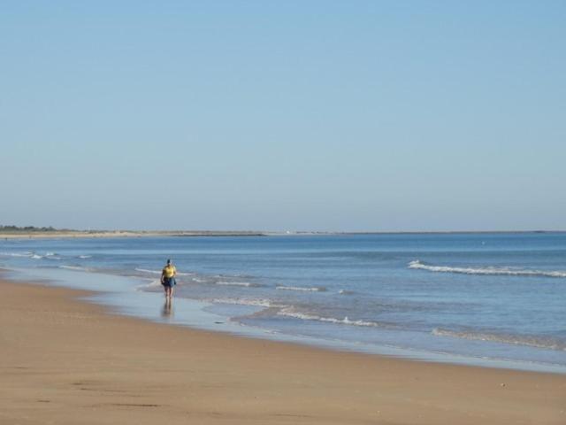 Algarveinn *
